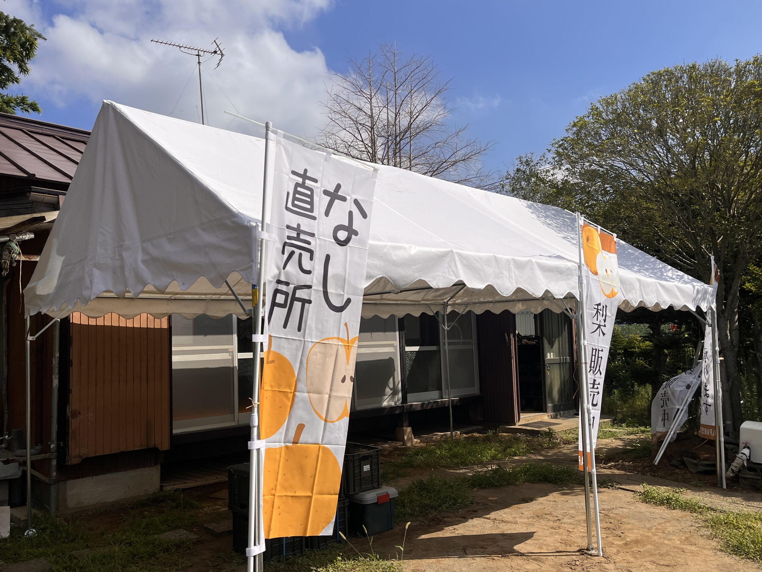 梨農園
