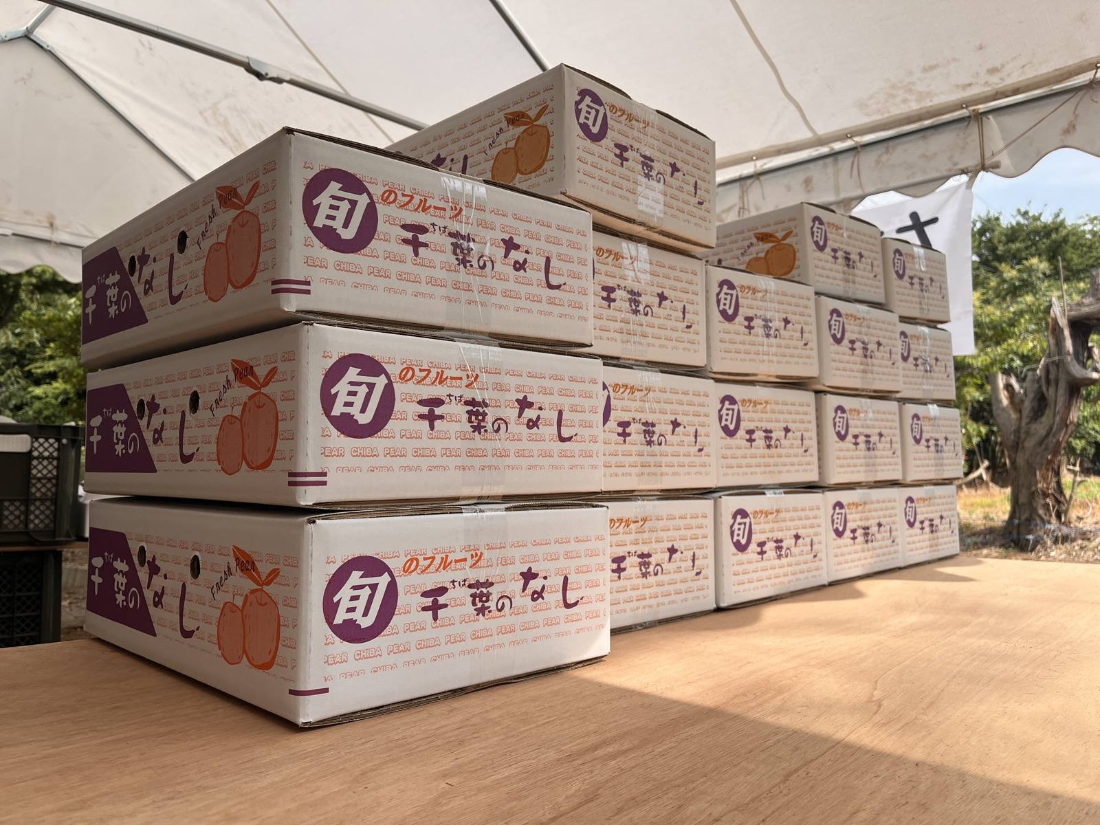 箱入り梨（千葉のなし 化粧箱）