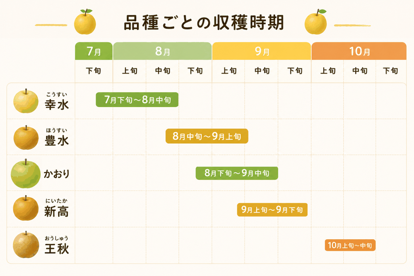 なしの品種ごとの収穫時期（幸水・豊水・かおり・新高・王秋）
